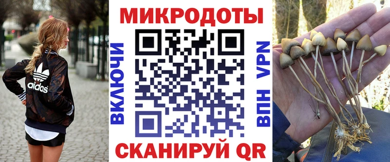 Псилоцибиновые грибы Psilocybine cubensis  shop клад  Пушкино 