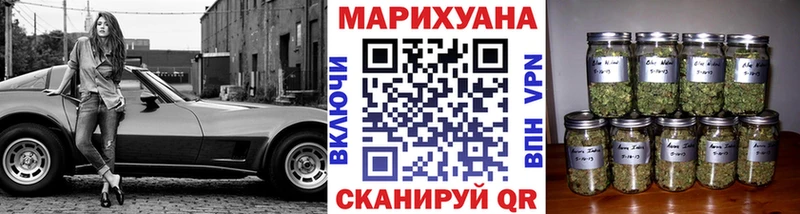 где найти   Пушкино  Каннабис конопля 